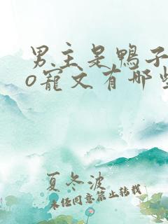 男主是鸭子的po宠文有哪些