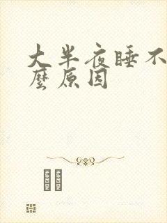 大半夜睡不着什么原因