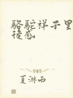 骆驼祥子里的读后感
