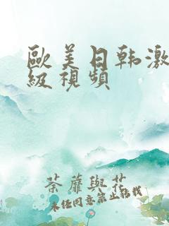 欧美日韩激情一级视频