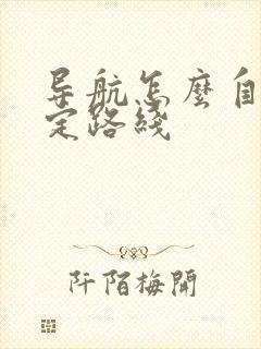导航怎么自己设定路线