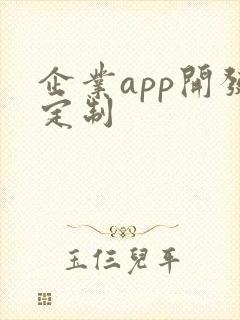 企业app开发定制