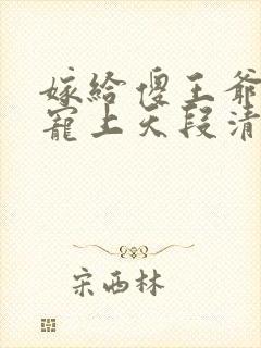 嫁给傻王爷后被宠上天段清瑶