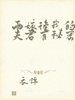 两嫁后我的新任夫君有秘密全本阅读