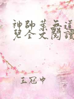 神帅叶无道徐灵儿全文阅读