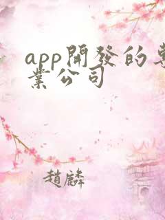 app开发的专业公司