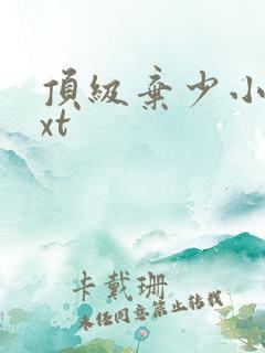 顶级弃少小说txt