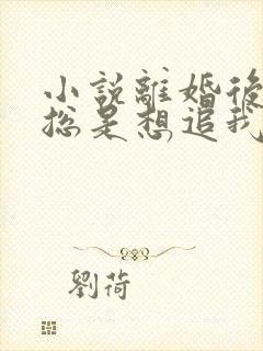 小说离婚后前夫总是想追我免费读