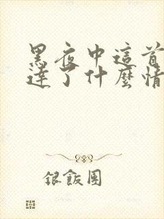 黑夜中这首歌表达了什么情感