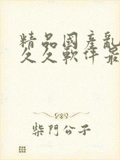 精品国产乱码久久久软件最新版