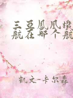 三亚凤凰机场东航在哪个航站楼