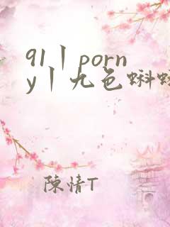 91丨porny丨九色蝌蚪