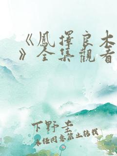《凤择良木而栖》全集观看