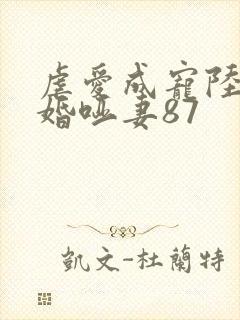 虐爱成宠陆总新婚哑妻87
