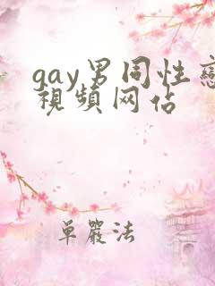 gay男同性恋视频网站