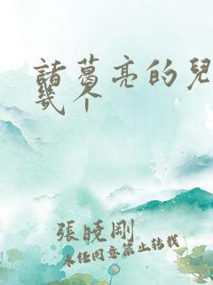 诸葛亮的儿女有几个
