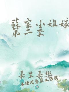 苏家小姐嫁错人第二季