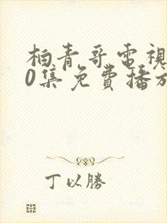 柏青哥电视剧40集免费播放