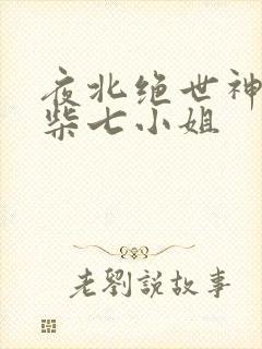 夜北绝世神偷废柴七小姐 夜北绝世神偷废柴七小姐