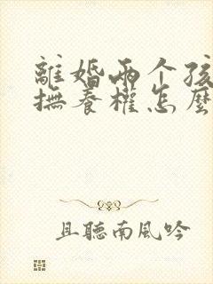 离婚两个孩子的抚养权怎么判定标准