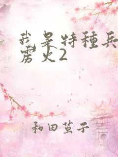 我是特种兵之霹雳火2