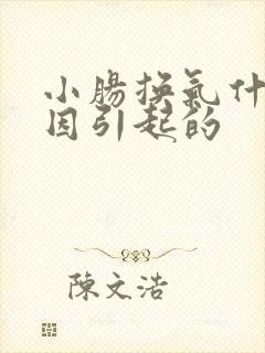 小肠换气什么原因引起的