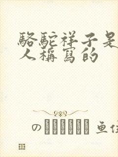 骆驼祥子是第几人称写的