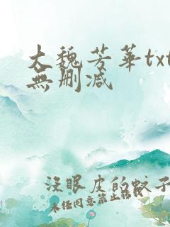大魏芳华txt无删减