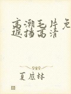 高潮毛片免费无遮挡高清