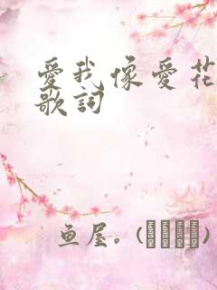 爱我像爱花一样歌词