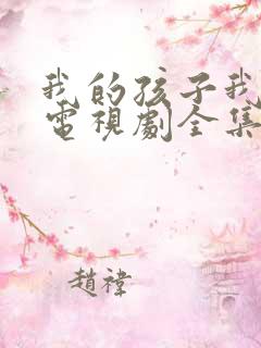 我的孩子我的家电视剧全集完整版