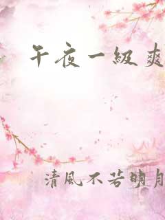 午夜一级爽片