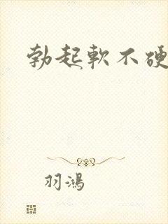 勃起软不硬