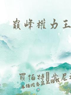 巅峰权力王鸿涛