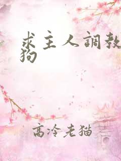 求主人调教小母狗