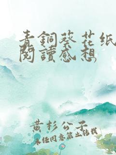 青铜葵花纸灯笼阅读感想