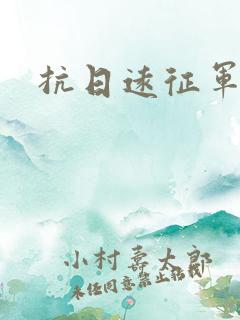 抗日远征军小说