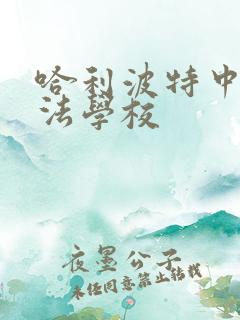 哈利波特中的魔法学校