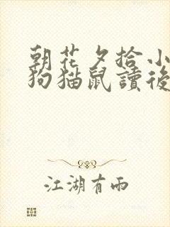 朝花夕拾小引 狗猫鼠读后感300字