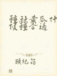 种秋黄瓜什么时候种合适