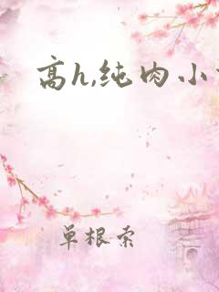 高h,纯肉小说