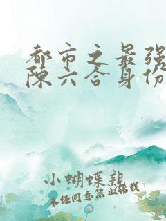 都市之最强狂兵陈六合身份