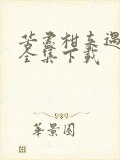 苦尽柑来遇见你全集下载