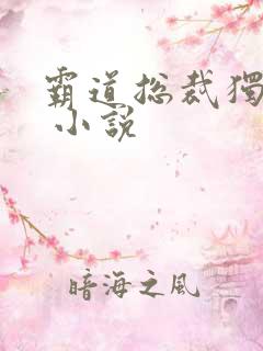 霸道总裁独宠妻 小说 霸道总裁独宠妻 小说