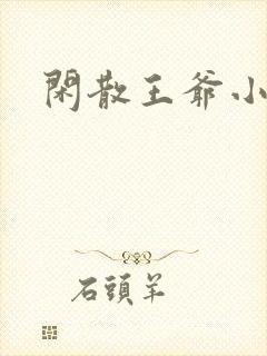 闲散王爷小说