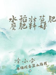 水稻壮苞肥用什么肥料好