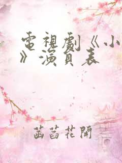电视剧《小娘惹》演员表