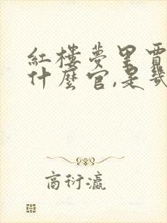 红楼梦里贾政是什么官,是几品