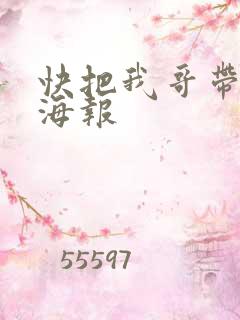 快把我哥带走 海报
