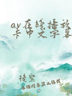 av在线播放不卡中文字幕